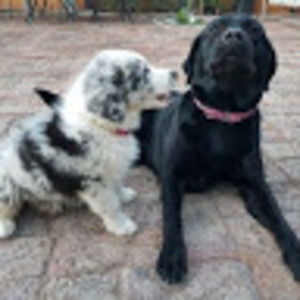 Meet your Posher, Alejandro